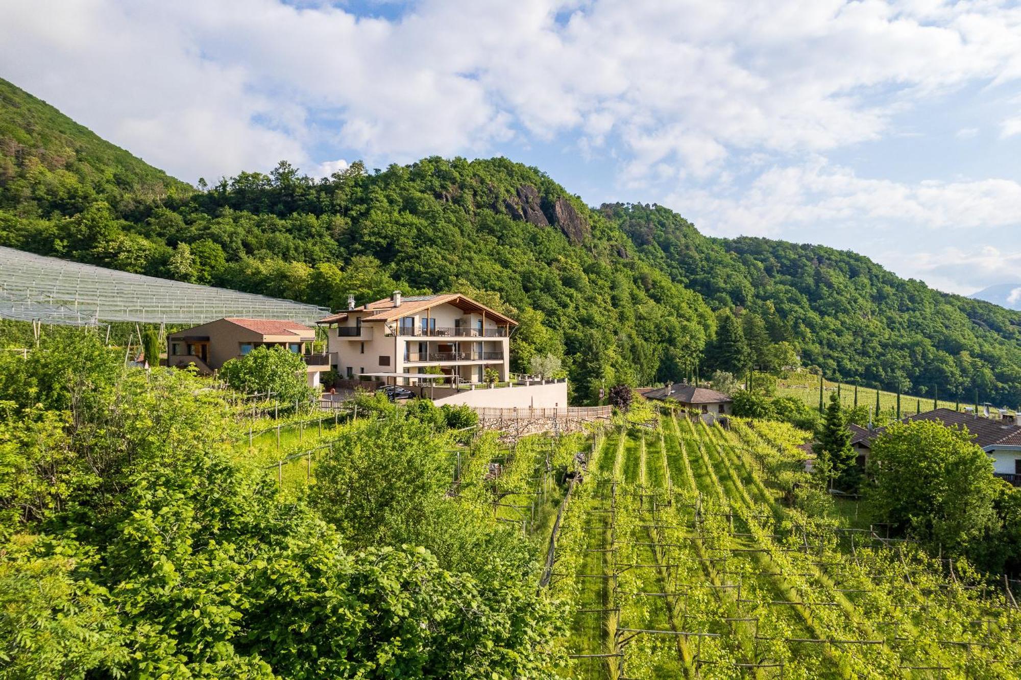 Apfelhof Apartment Termeno Exterior photo
